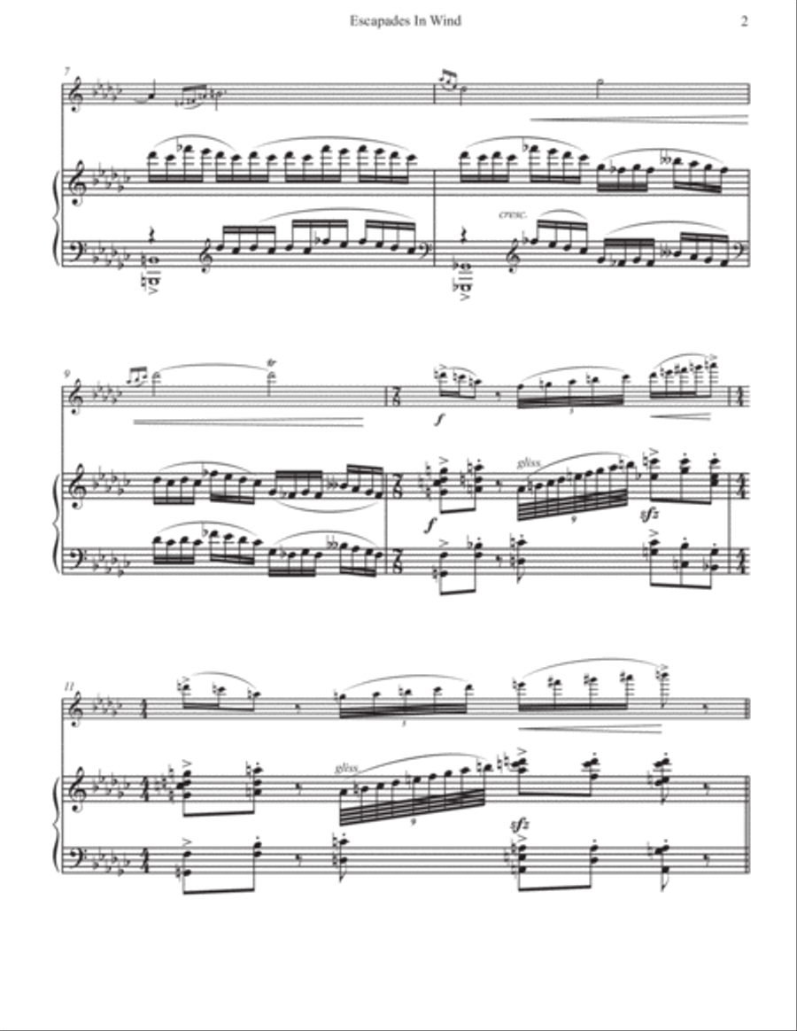 Escapades In Wind - Duet for Flute and Piano - Advanced Level Woodwind Duet scores gallery preview page 5