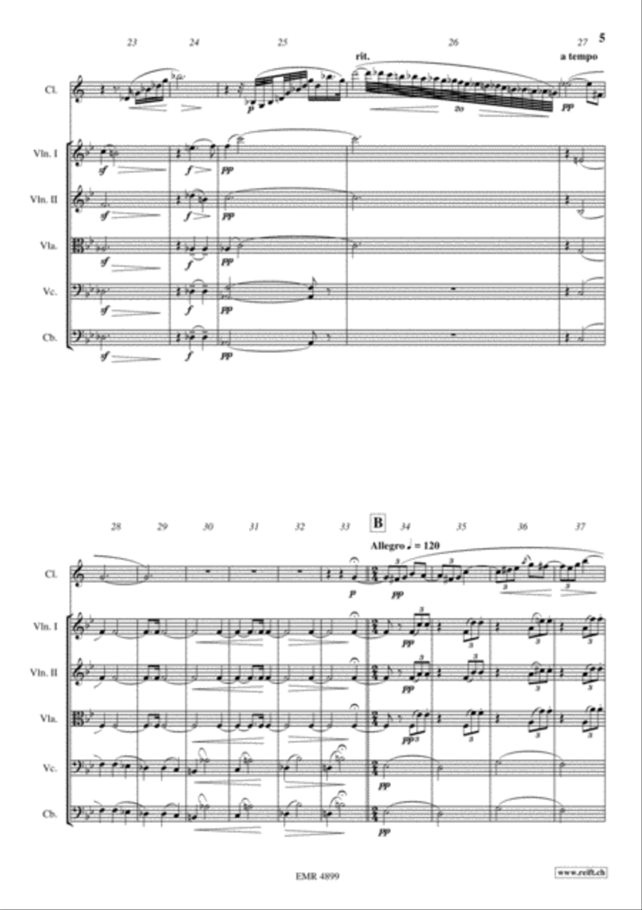 Introduction & Rondo String Orchestra scores gallery preview page 5