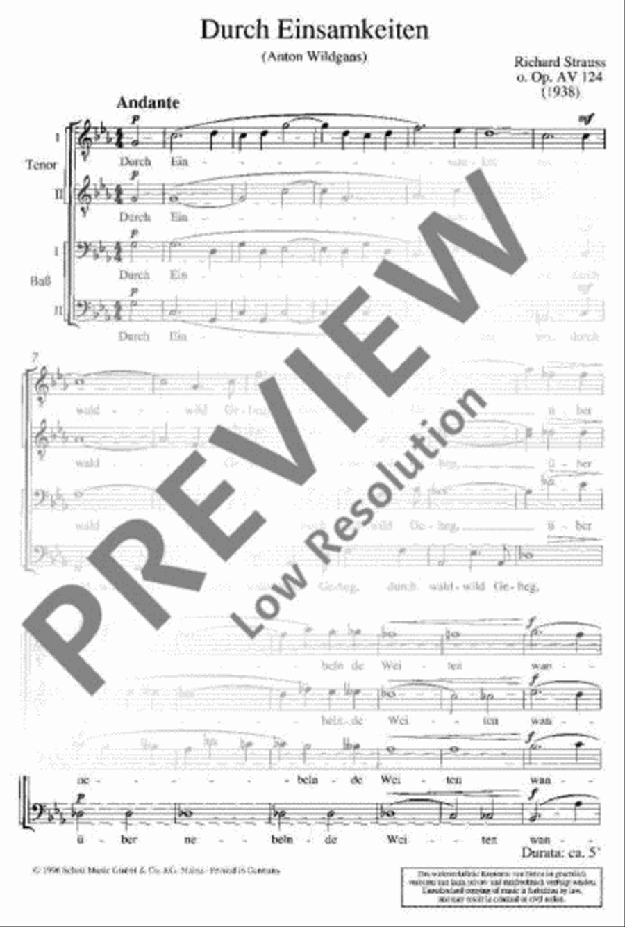 Durch Einsamkeiten TTBB scores gallery preview page 4