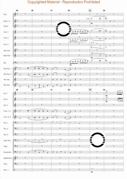 Symphony No. 40 - Mmt. I Excerpts image number null