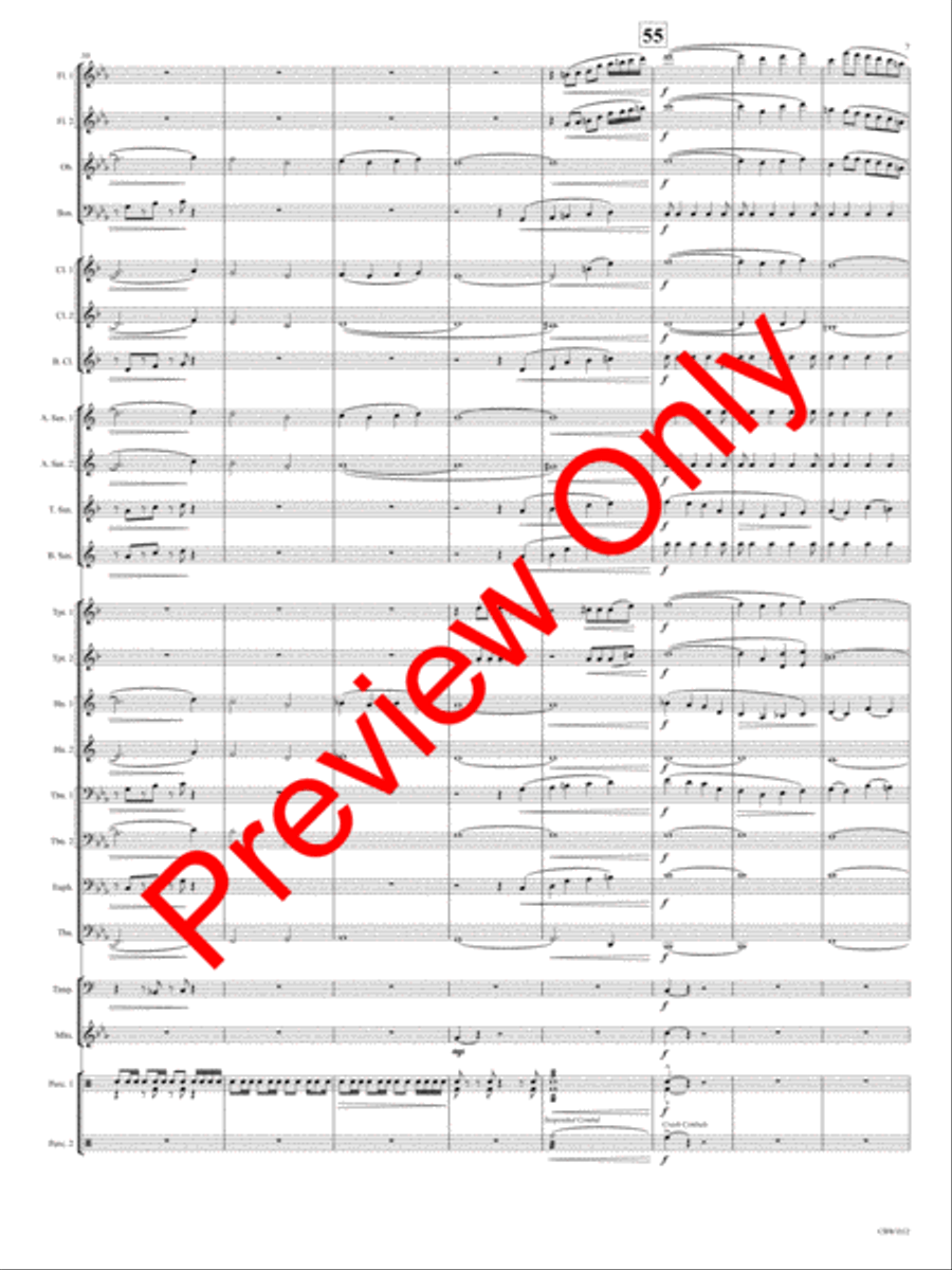 Viserion Concert Band scores gallery preview page 10