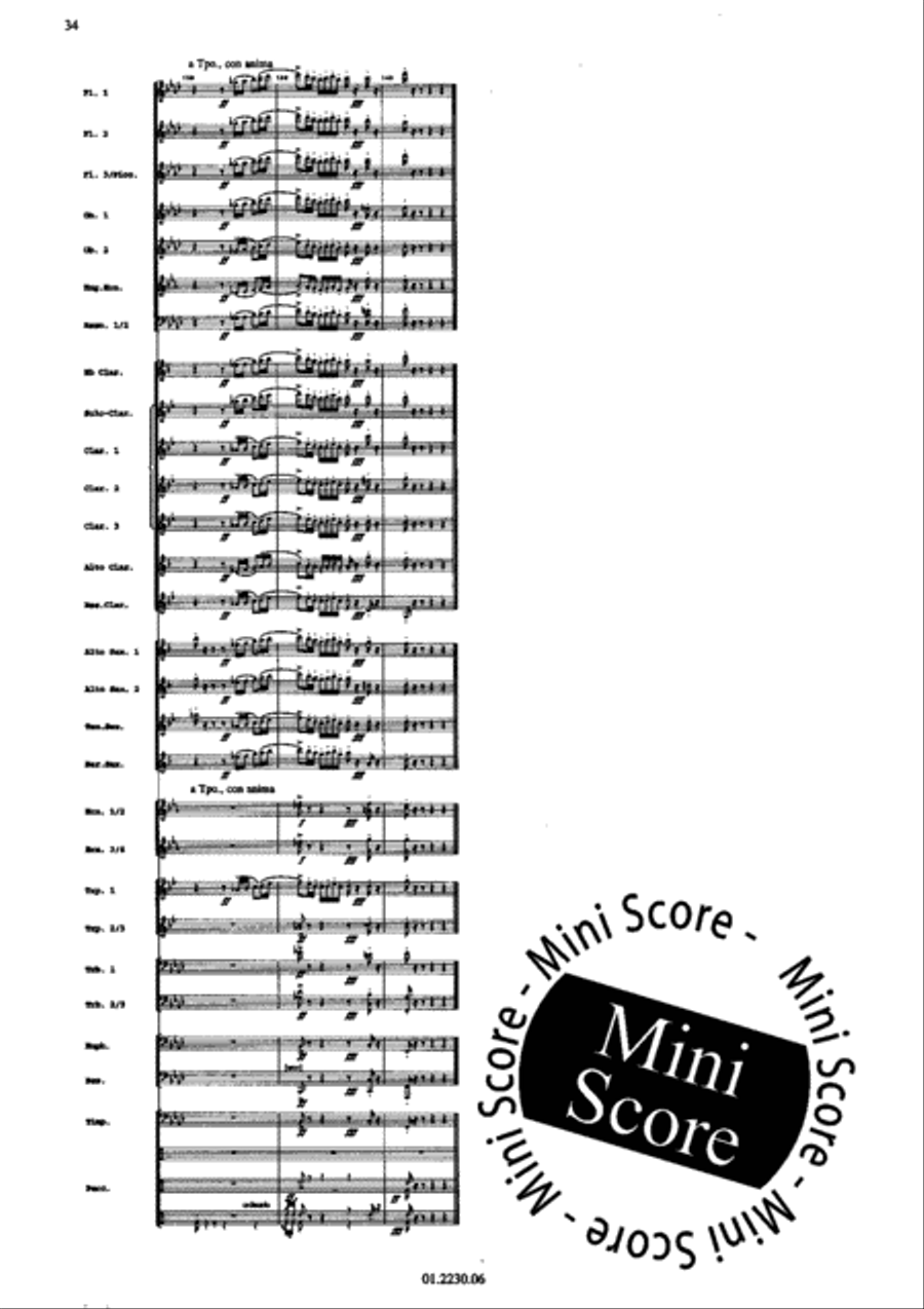 Triana Triana Concert Band scores gallery preview page 38