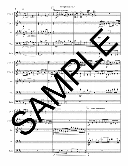 Symphony No. 4 - 1st Movement for Brass Quintet with Optional Percussion image number null
