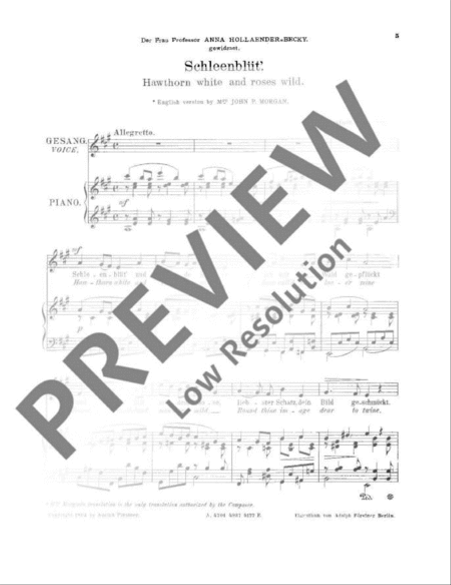 12 Lieder Voice Solo scores gallery preview page 6