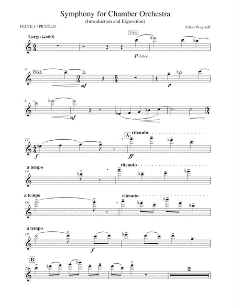 Symphony for Chamber Orchestra (instrumental parts) Chamber Orchestra scores gallery preview page 5