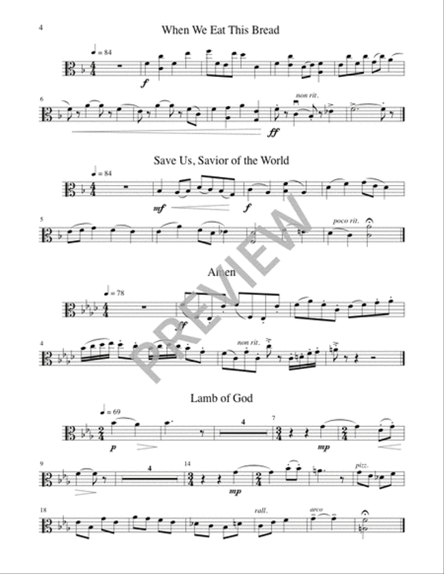 A Community Mass - String edition Flute scores gallery preview page 13