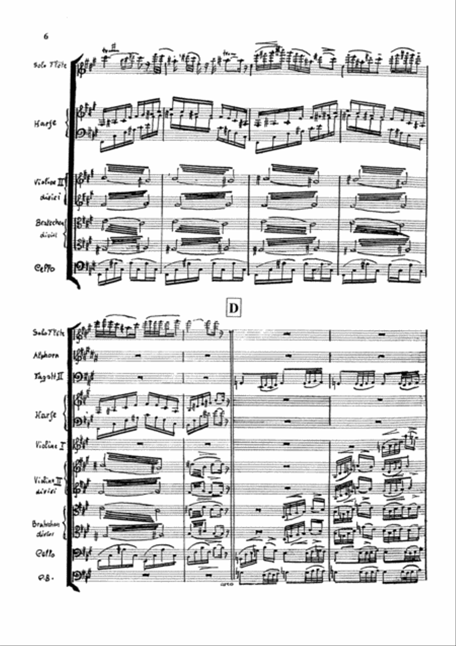 3. Alphorn Concerto Orchestra scores gallery preview page 6