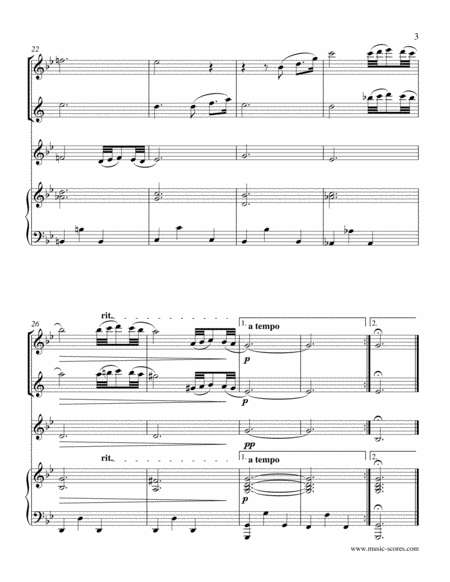 Albinoni Adagio - Flute, Clarinet, Violin and Piano image number null