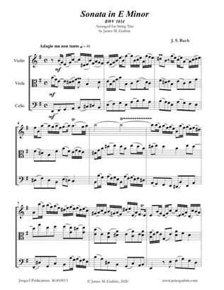 Book cover for BACH: Sonata BWV 1034 for String Trio