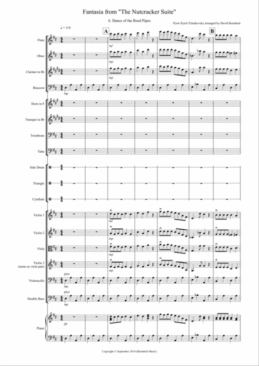 Dance of the Reed Pipes (Fantasia from Nutcracker) for School Orchestra Full Orchestra scores gallery preview page 1