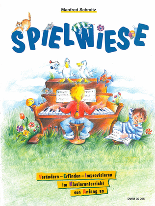 Book cover for Spielwiese