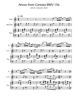 Arioso BWV 156 - Flute and Alto Flute Duet w/ Piano