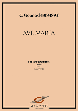 Book cover for Ave Maria