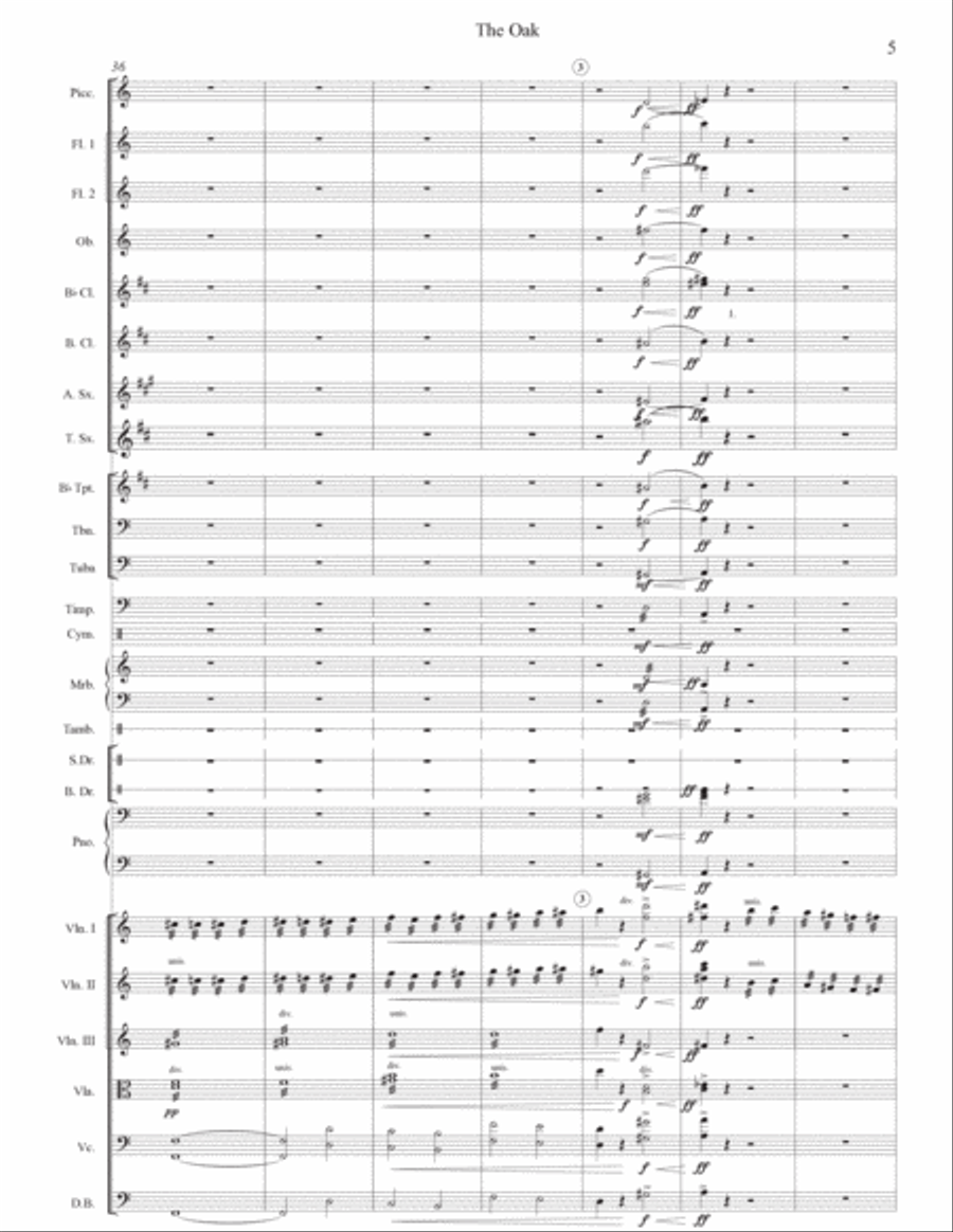 The Oak Chamber Orchestra scores gallery preview page 5