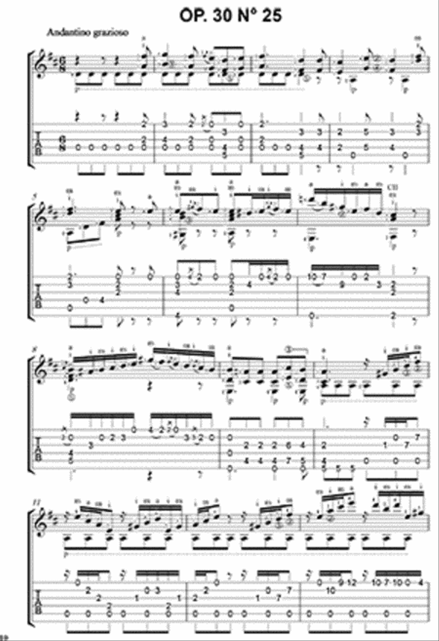Mauro Giuliani 20 Selected Studies Acoustic Guitar scores gallery preview page 2