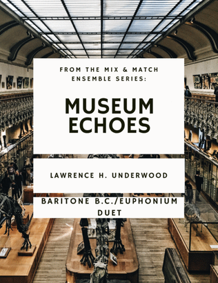Book cover for Museum Echoes