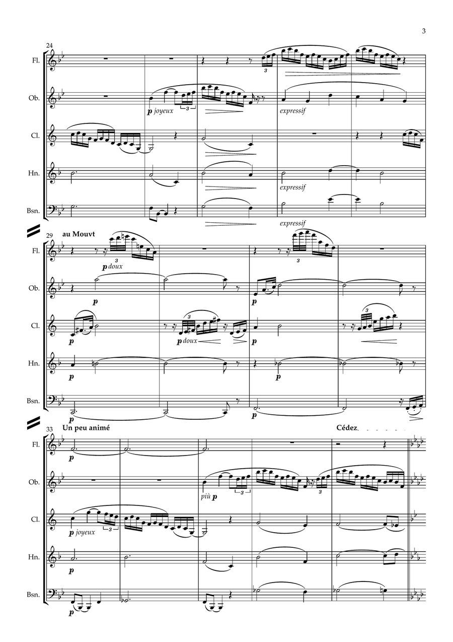 Debussy: Piano Preludes Bk.2 No.5 