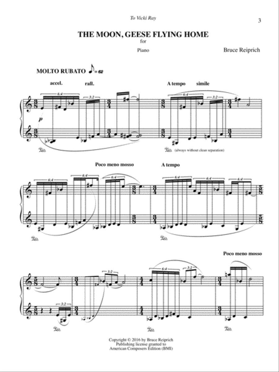 [Reiprich] The Moon, Geese Flying Home Piano Solo scores gallery preview page 5