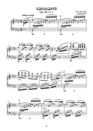 Impromptu Op.28 No.1