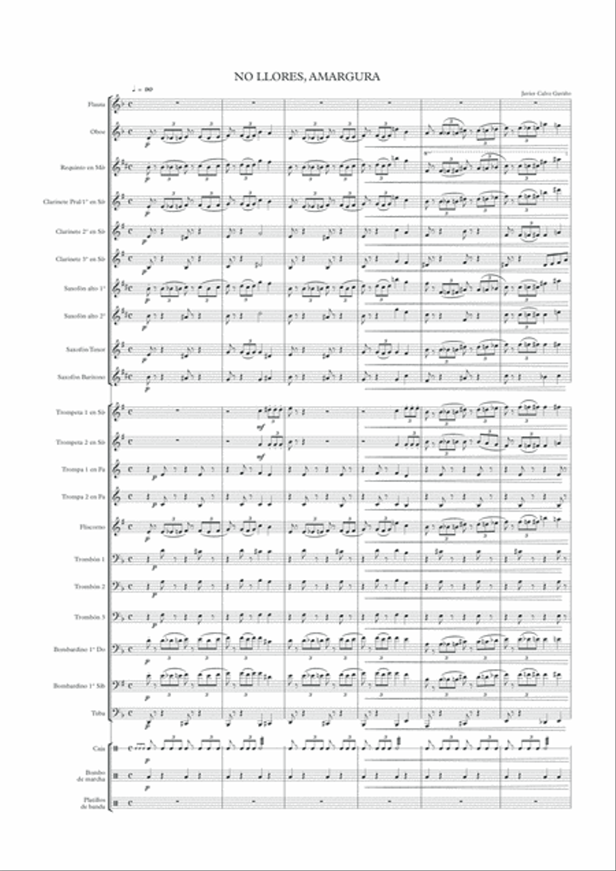 No llores, Amargura Concert Band scores gallery preview page 2