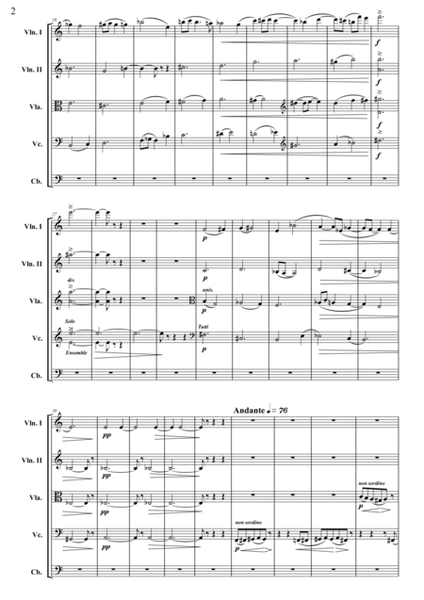Symphony for Strings (Score)