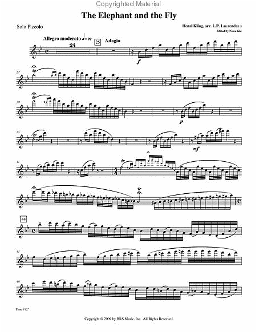 The Elephant and the Fly Orchestra scores gallery preview page 2