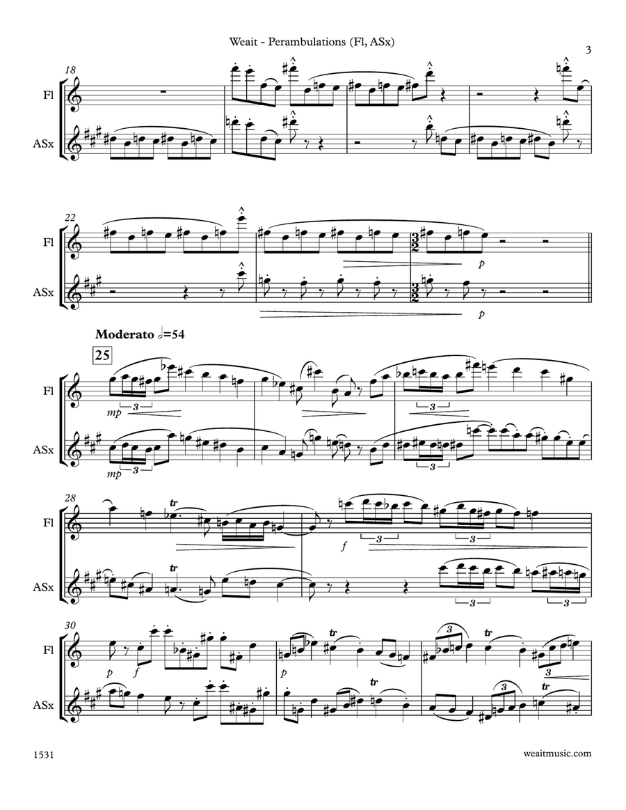Perambulations for flute & alto saxophone (3’10) Woodwind Duet scores gallery preview page 3