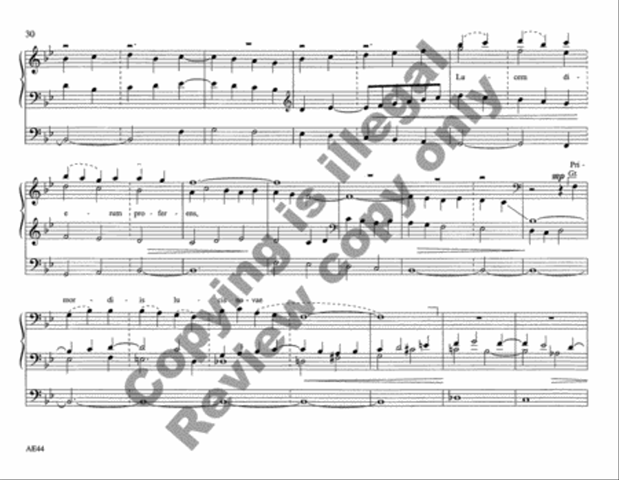 Chantworks, Set III Ascension, Pentecost, Trinity, Corpus Christi, Morning, Evening Organ scores gallery preview page 24