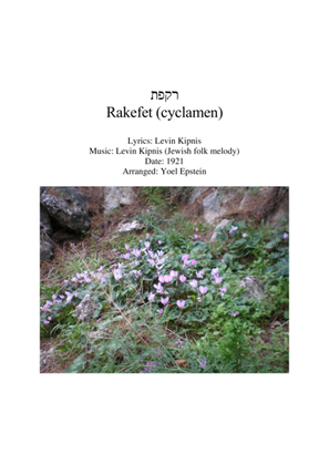 Book cover for Rakefet - Israeli children's song for string quartet