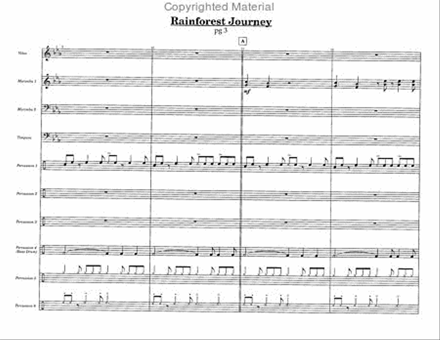 Rainforest Journey Percussion Ensemble scores gallery preview page 4