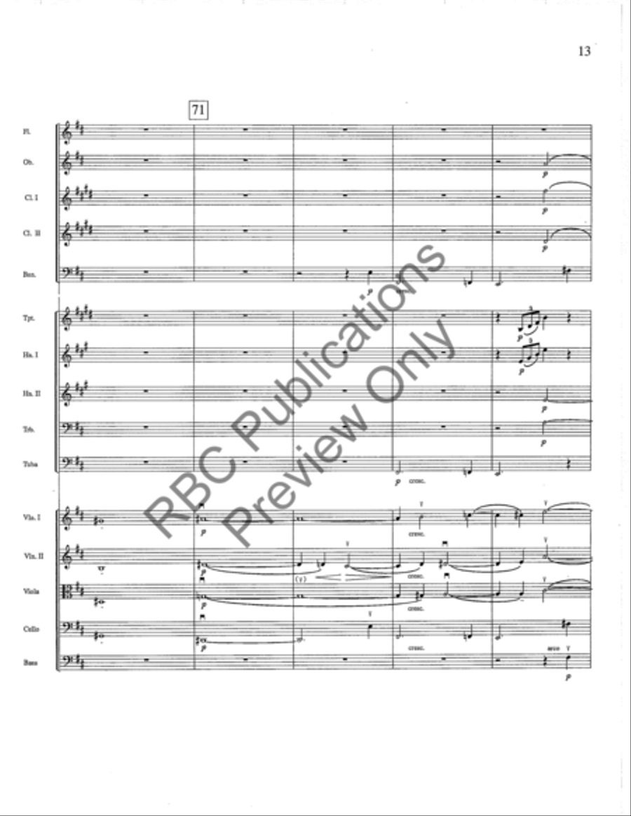 Siegfried Idyll Full Orchestra scores gallery preview page 14