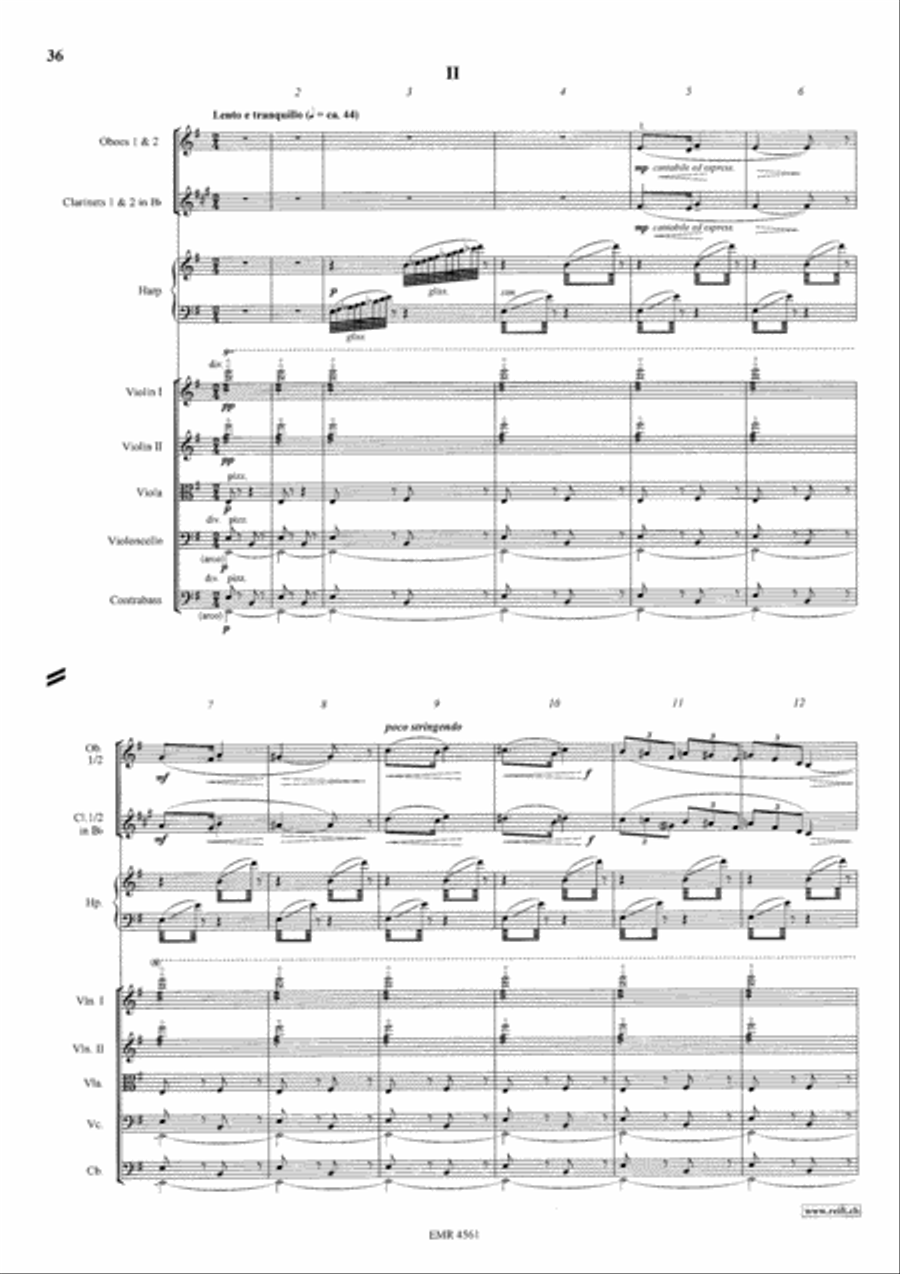 Ski-Symphony Orchestra scores gallery preview page 6