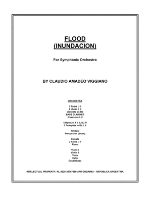 FLOOD (INUNDACION)