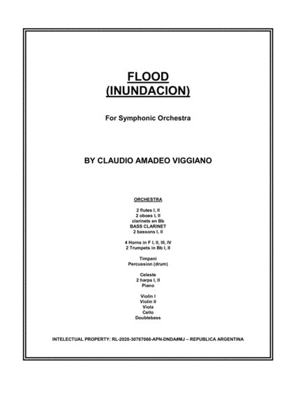 FLOOD (INUNDACION) image number null