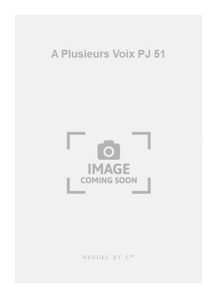 Book cover for A Plusieurs Voix PJ 51