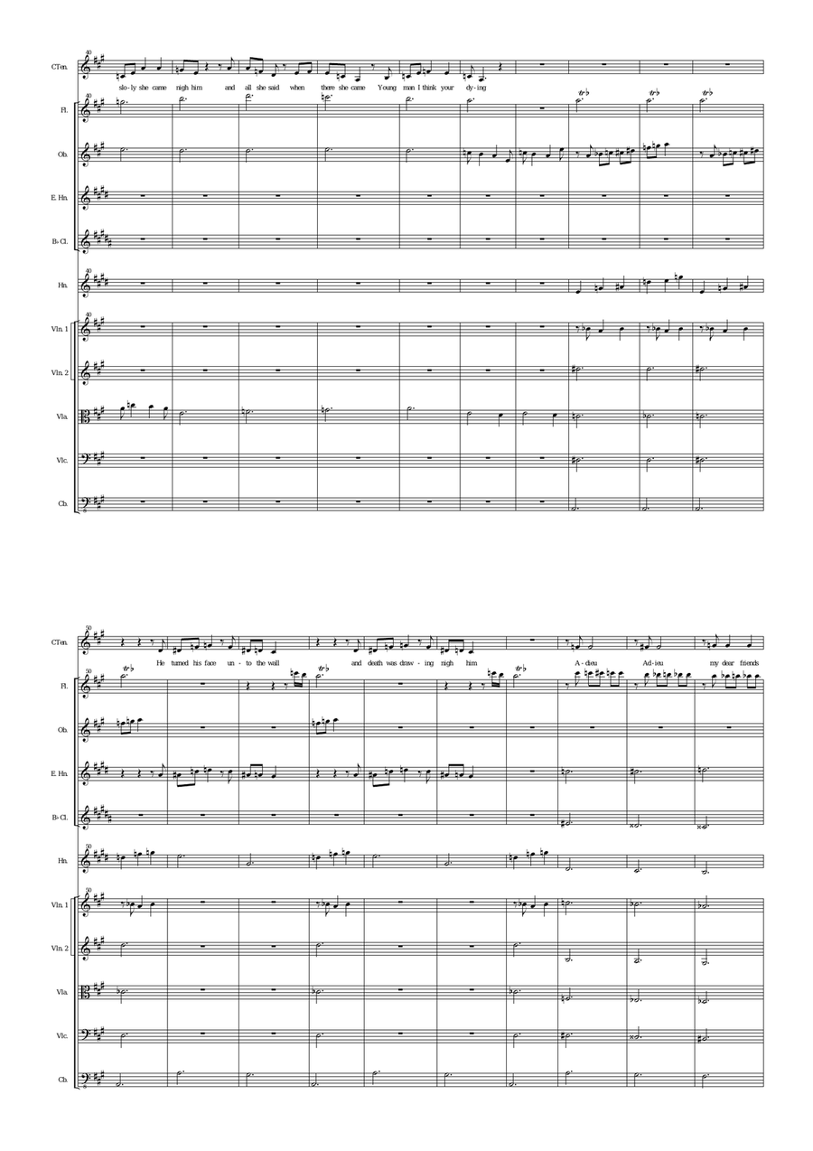 Barbara Allen for alto or baritone voice and orchestra Chamber Orchestra scores gallery preview page 3