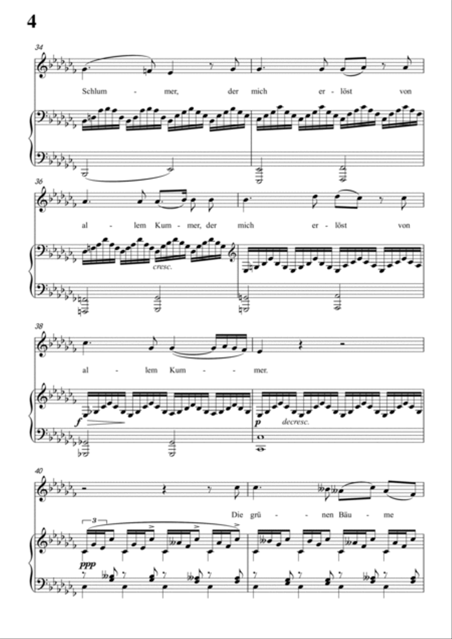 Schubert-Nachtstück,Op.36 No.2 in #G minor,for Vocal and Piano Voice scores gallery preview page 5