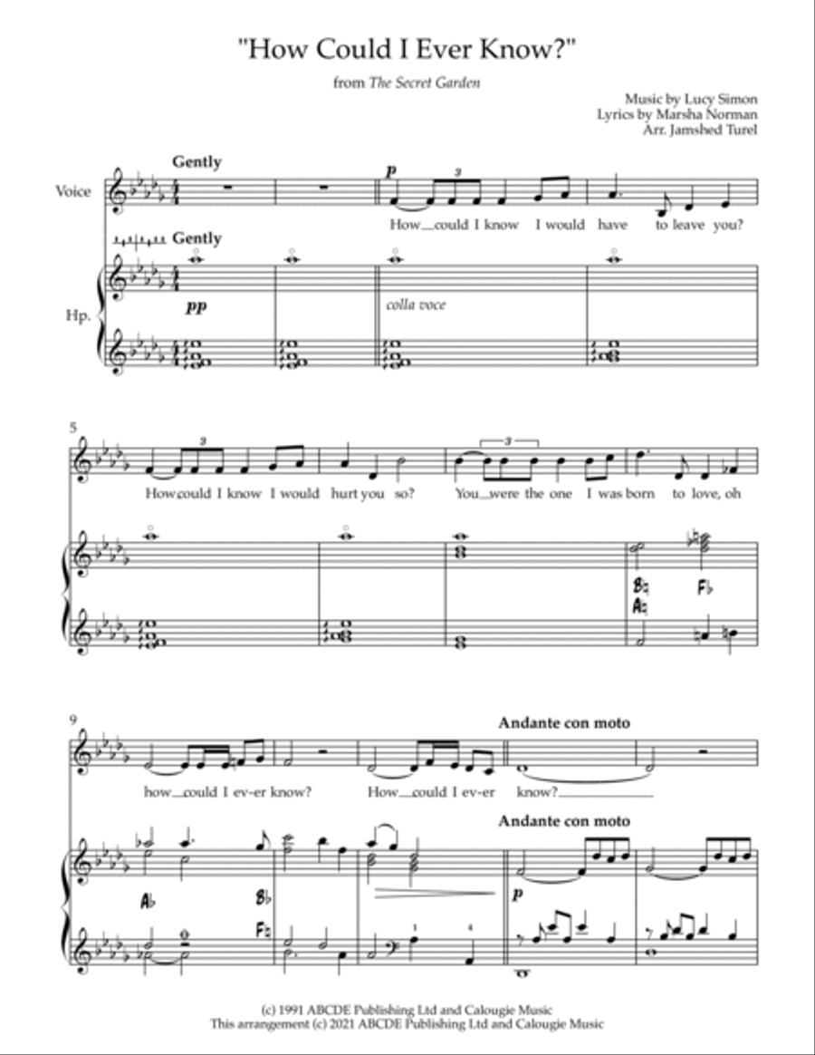 How Could I Ever Know? Piano, Vocal, Guitar scores gallery preview page 2