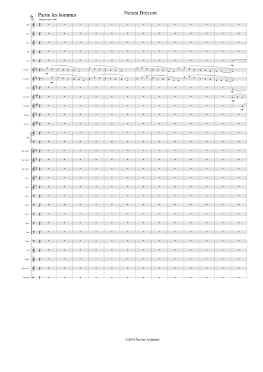 NATURA BREVUM NATURA BREVUM Concert Band scores gallery preview page 6