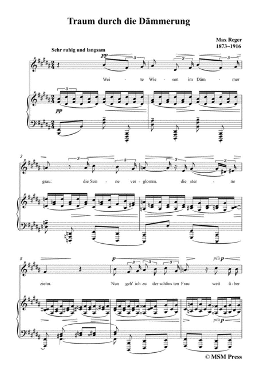 Reger-Traum durch die Dämmerung in B Major,for Voice and Piano Voice Solo scores gallery preview page 3