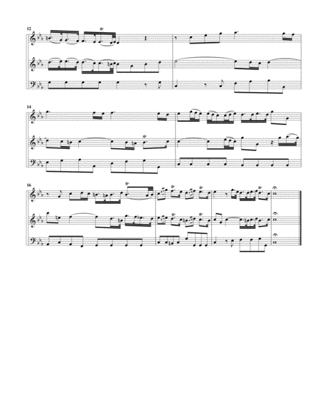 Trio sonata QV 2 Anh. 4 for flute, viola d'amore or violin and continuo in C minor (version for viol