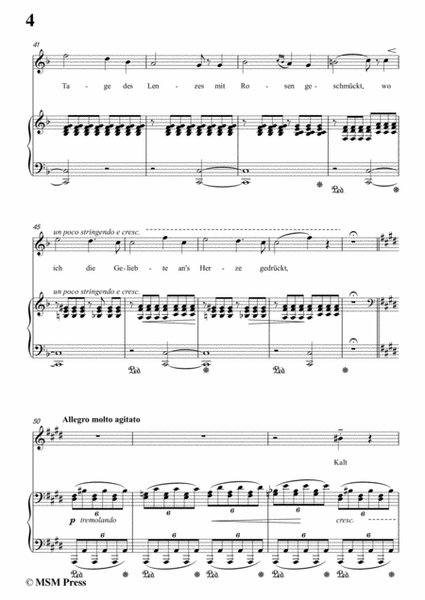Liszt-Es rauschen die winde in E Major,for Voice and Piano image number null