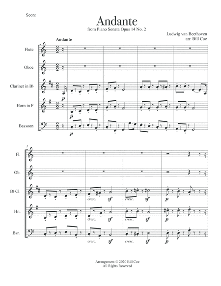 Beethoven Andante Woodwind Quintet score and parts image number null