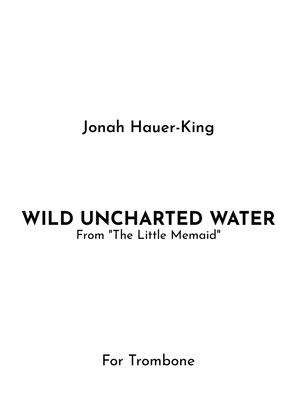 Book cover for Wild Uncharted Waters
