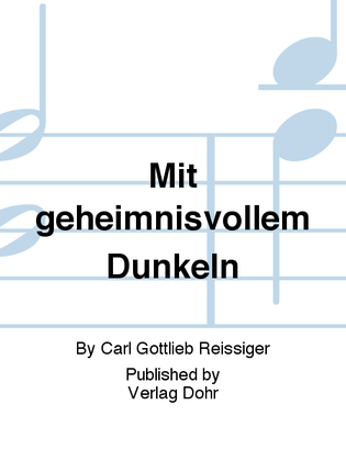 Book cover for Mit geheimnisvollem Dunkeln