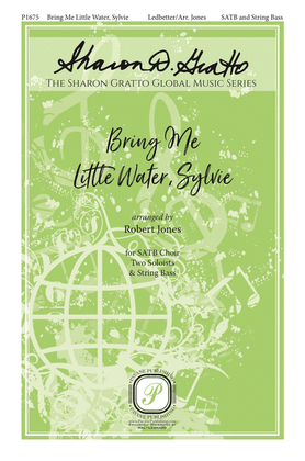 Book cover for Bring Me Little Water, Sylvie