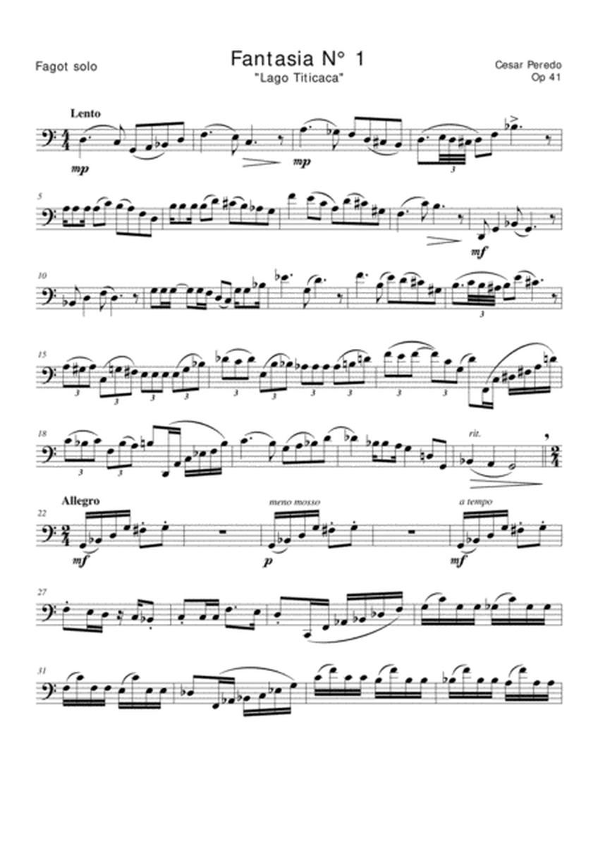 Fantasia N° 1 Op 41 para fagot solo "Lago Titicaca" image number null