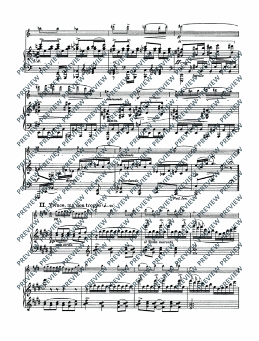 Variations on a theme by Edvard Grieg Violin Solo scores gallery preview page 7