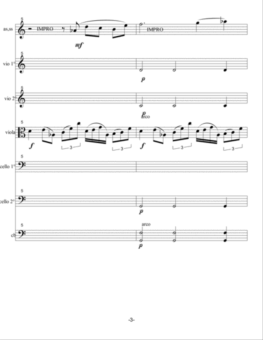 ARCHETIPO DI SOGNO IN UNA NOTTE D'INVERNO Chamber Orchestra scores gallery preview page 3