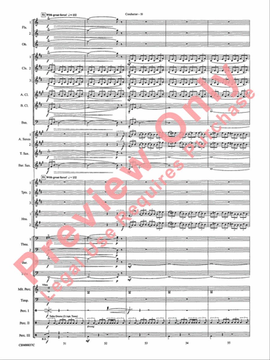 The Perfect Storm (from the Warner Bros. Motion Picture) Concert Band scores gallery preview page 13